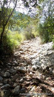 stello marchesa di Cassibile-10-02-2015 19-58-26